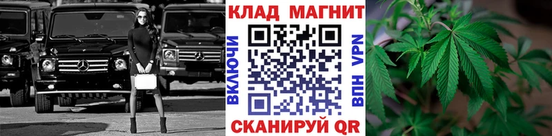 Псилоцибиновые грибы Гулькевичи