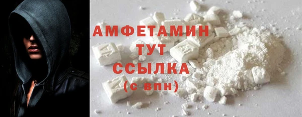 mdpv Вяземский
