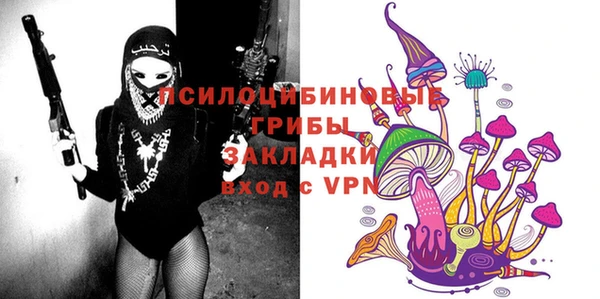 mdpv Вяземский