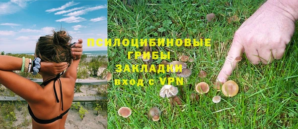винт Вязьма