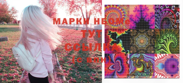 крисы Горняк