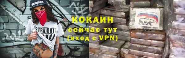 mdpv Вяземский