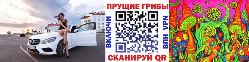 Галлюциногенные грибы прущие грибы  Гулькевичи 